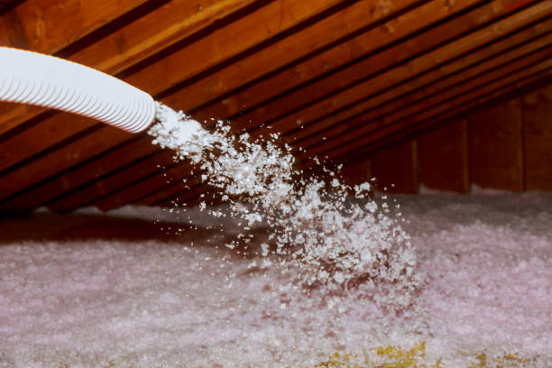 Best Insulation for Specific Applications in Miami, FL